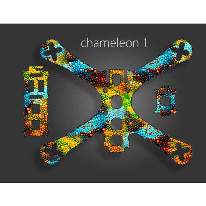 chameleon_1.jpg