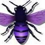 purple bee