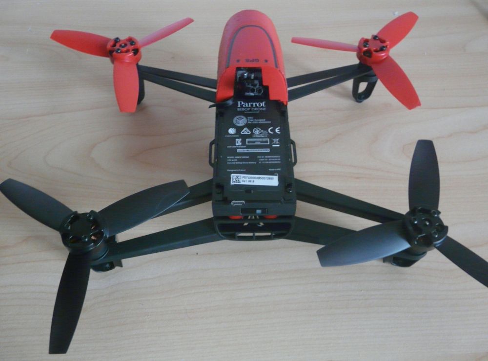 Drone Parot.JPG