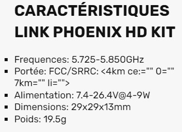 2022-11-23 08_01_02-RunCam - Link Phoenix HD Kit - Drone-FPV-Racer.jpg