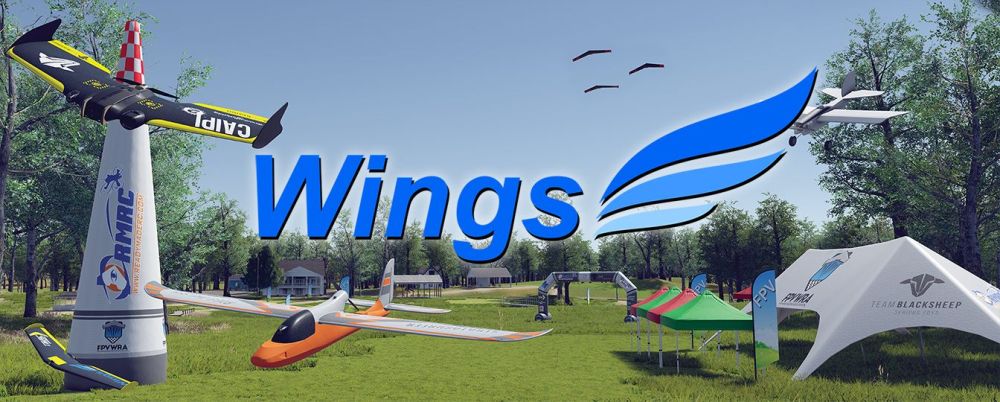 test wings sim.jpg