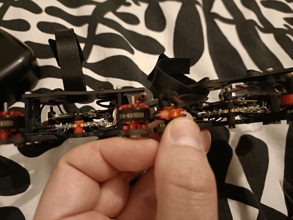 WhatsApp Image 2025-05-29 à 21.33.48_fb46f079.jpg